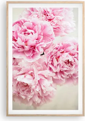Produktbild von Gerahmtes Poster - Rahmen in heller Eiche - Pfingstrosen Blumenstrauß Blumen - 61x91,5 cm - Wand Bild - Wanddeko - Wandbilder - Kunstposter - Wandposter - Bilderrahmen - Bilder - P2NPA61x91-4961