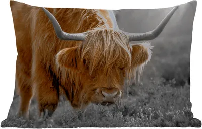 Produktbild von MuchoWow® Outdoor Kissen - Schottisches Hochlandrind - Tiere - Braun - Kuh - Schwarz - Weiß - Natur - 60x40 cm - Wetterfest - Lounge Kissen - Zierkissen - Kissen für Innenräume