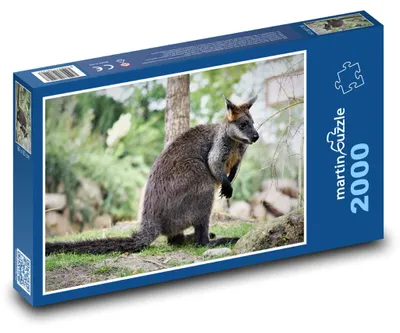 Obrázok produktu pre martinpuzzle - Puzzle 2000 - Klokan - zoo, vacovník