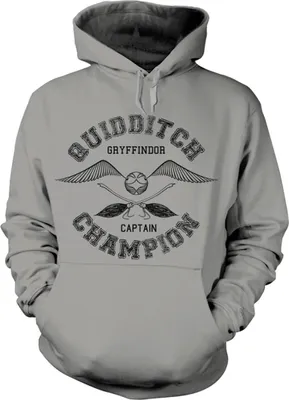 Produktbild von Harry Potter Quidditch Champion Kapuzenpullover