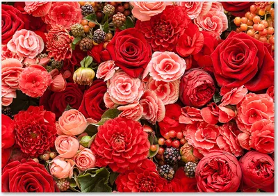 Produktbild von Tulup® Glas-Bild - 100 x 70 - Wandbild aus Glas - Wandkunst - Wandbild hinter gehärtetem Sicherheitsglas - Blumen & Pflanzen - Rote Blumen - Rot