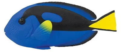 Produktbild von Safari Ltd Blue Tang Figur Blau From 3 Years Blau From 3 Years