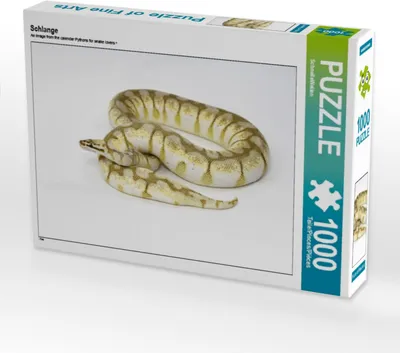 Produktbild von CALVENDO Puzzle Schlange | 1000 Teile Lege-Größe 64x48cm Foto-Puzzle für glückliche Stunden