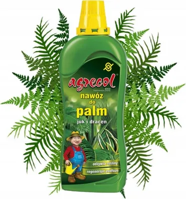 Produktbild von Flüssigdünger für Yucca- und Drachenbaumpalmen 750 ml