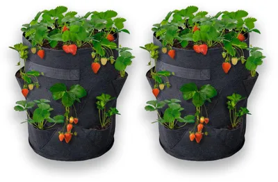 Produktbild von 2er Set Pflanzsäcke Ø 35 x 45 cm Pflanztaschen für Erdbeeren Balkon Garten