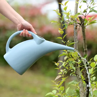 Produktbild von Kleine Gießkanne,2L Kunststoff Gießkanne,Blumengießkanne mit langem Auslauf für Innen und Außen,Haus,Garten,Blumen (grau) 1 Stück