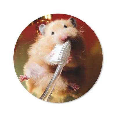Produktbild von MuchoWow® Mauspad Mousepad Hamster beim Zähneputzen 30x30 cm - Mousepads - Maus Mat - Pad - Mausunterlage - Tischunterlage - Schreibtischmatten