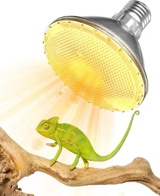 Image de Lampe chauffante pour reptiles 75 W UVB UVA, culot E27, dimmable, PAR30, pour tortues, terrariums et éleveurs de reptiles