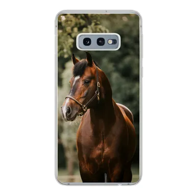 Produktbild von MuchoWow® Handyhülle Schutzhülle Hülle für Samsung Galaxy S10e Pferd - Äste - Porträt Silikon Softcase Handy Hülle - Handy