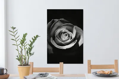 Produktbild von MuchoWow® - Leinwandbilder - Blumen - Schwarz - Rose - Weiß - Botanisch, Wandbild, Wanddeko Bilder Wohnzimmer, 60x90 cm