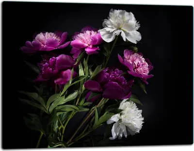 Produktbild von Glasschneidebrett Herdabdeckplatte Glaskeramikkochfeld Universal 52x40 cm Schwarz Blumen