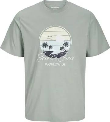 Produktbild von Jack&Jones T-shirt 12269418-ICEBERGGREEN in Green color size small