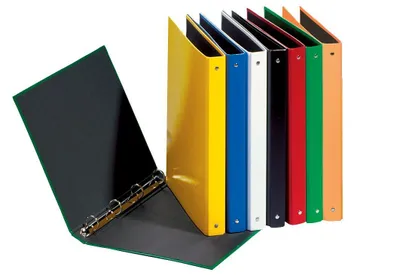 Immagine prodotto di Pagna® 20605-04 Raccoglitore ad anelli Basic Colours - A4, 4 anelli, Ø 25 mm, giallo