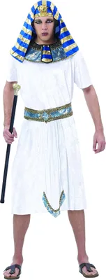 A man wearing an Egyptian pharaoh costume.