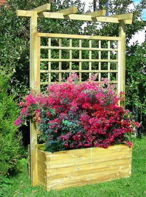 Produktbild von Blumenkasten mit Rankgitter Lonicera groß - Abmessung:  180 x 50 x 210 cm (B x T x H)