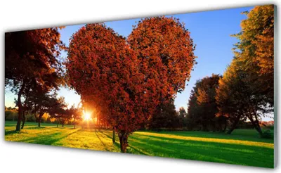 Produktbild von Acrylglasbilder 125x50 Wandbild Druck Sonne Bäume Natur