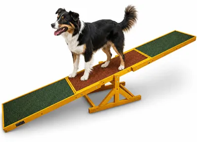 Produktbild von Hundewippe MS-16899 Agility 180x30x30 cm mit Antirutschbelag bis 50 kg