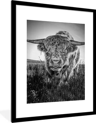 Produktbild von MuchoWow® Gerahmtes Poster Schottischer Highlander - Schwarz und Weiß 60x80 cm - Poster mit Schwarzem Bilderrahmen Wandposter Rahmen Foto Bilder - Wohnzimmer - Dekorationen - Prämie