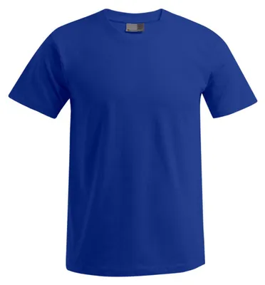 Produktbild von Promodoro - "Premium" T-Shirt für Herren LT3116 (S) (Königsblau)