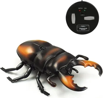 Obrázek produktu pro RC brouk Roháč