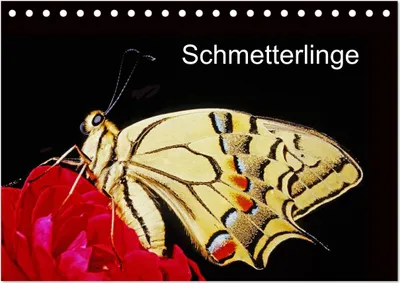 Produktbild von Schmetterlinge (Tischkalender 2025 DIN A5 quer), CALVENDO Monatskalender