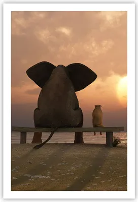 Produktbild von Poster - Poster ohne Rahmen - Elefant Ufer Meer - 61x91,5 cm - Wand Bild - Wanddeko - Wandbilder - Kunstposter - Wandposter - Bilder - Kunstdruck - Wanddekoration - Wandbild - P2XPA61x91-3555