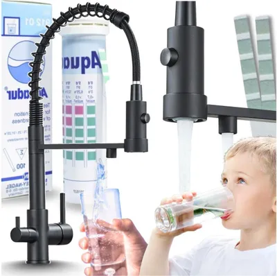 Produktbild von 3-Wege Küchenarmatur Solid Spring mit Wasserfilter-Anschluss, herausziehbare Brause, 360° schwenkbar, getrennte Wasserwege, Keramikkartusche Schwarz-matt