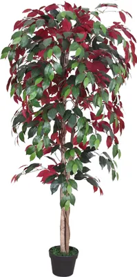 Immagine prodotto di Rosso Fico Ficus Benjamin Pianta Albero Artificiale Plastica 150cm Decovego