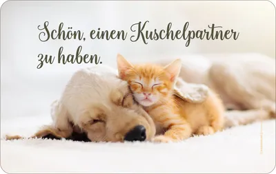 Produktbild von Tiere - Frühstücksbrettchen - Kuschelpartner