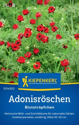 Produktbild von Kiepenkerl Adonisröschensamen Blutströpfchen Adonis aestivalis 60 Pflanzen