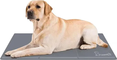 Produktbild von Kühlmatte Hund kühlmatte katze kühldecke hund Kühlmatte 90x50cm mit Ungiftiges Gel Selbstkühlende Kissen Kühl Hundedecke für Katzen und Hunde Blau