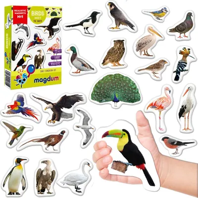 Productafbeelding van Magdum koelkastmagneten voor kinderen – Vogels – 25 magneten voor peuters