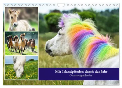 Produktbild von Mit Islandpferden durch das Jahr Geburtstagskalender (Wandkalender 2027 DIN A4 quer), CALVENDO Monatskalender