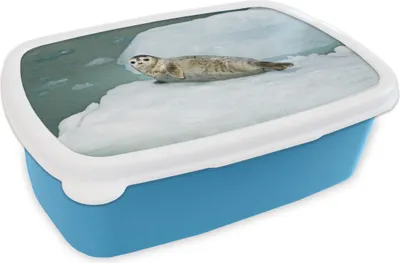 Obrázok produktu pre KitchenYeah® Lunchbox Box na obed 17x11 cm Seal - Sea - Ice Cream Kids Snack Box - Lunch - Plastic - Bread Tin - Sandwich Box - Lunchbox pre deti