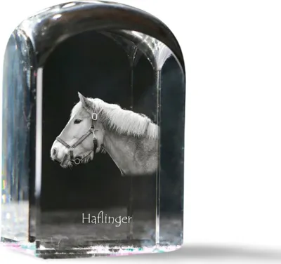 Image de Hafling - cube en cristal avec photo, photo de cheval dans du cristal, bouton cubique sur papier de la marque Art-Dog