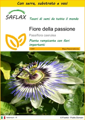 Immagine prodotto di SAFLAX Insieme di coltivazione - Fiore della passione - 25 semi - Passiflora