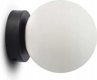 A close-up, studio shot of a black wall-mounted light fixture with a white glass globe.