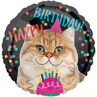 Produktbild von Amscan 3539875, Spielzeugballon, Happy Cat, Geburtstasg, Party