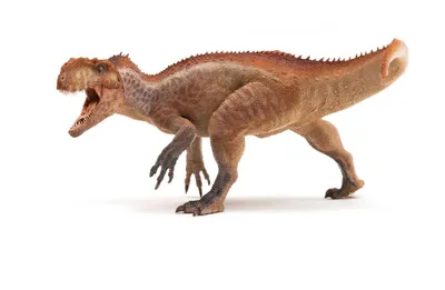Immagine prodotto di Papo Figurina Yangchuanosaurus marrone 10,5 cm