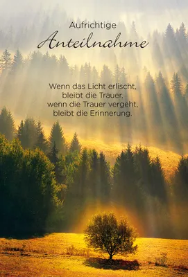 Produktbild von Trauer – Beileid - Premium Line - Kondolenzkarte im Format 11,5 x