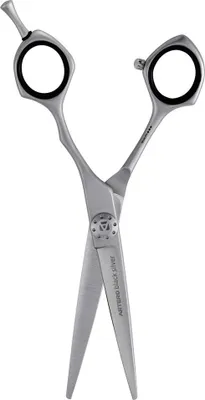 Image de Ciseaux de coiffeur , Noir Argent 6' Artero