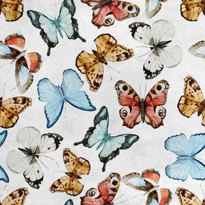 Image de Tissu n velours à motifs papillons, largeur 145 cm