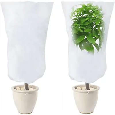 Produktbild von Winterschutz für Pflanzen Haube 80x120cm Frostschutz Abdeckung Vlies 2 Stück Weiß