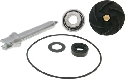 Produktbild von Wasserpumpe Reparaturkit für Piaggio X8/X9 400-500ie ZAPM521/ZAPM270 Roller