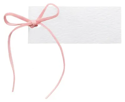 Tischkarten-Set mit Samtband, 50 Stück, 10x4 cm