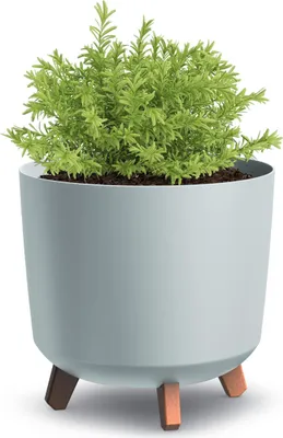 Immagine prodotto di Gracia Tubus vaso con gambe grigio chiaro DGTL300L-443U