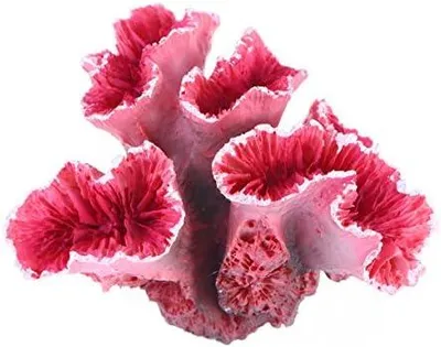 Produktbild von Korallen rosa für Aquarium Dekoration