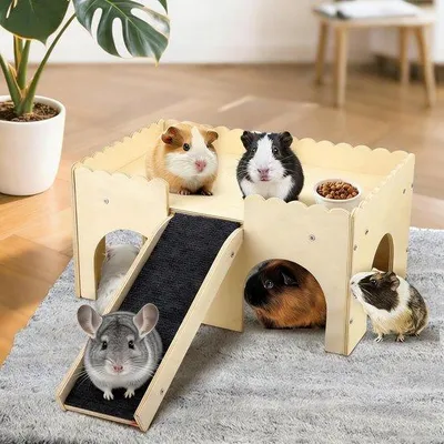 Produktbild von Cavia Versteckplatz Extra Large - Holzkonstruktion mit Stufen - 2 Tierbetten - ShopFlot