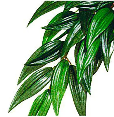 Produktbild von Exo Terra Rucus Kunstpflanze Grün L Grün L