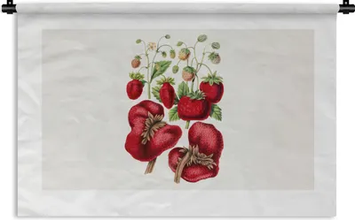 Produktbild von MuchoWow® Wandteppich Wandbehang Erdbeeren - Obst - Pflanze 120x80 cm Tapisserie Dekoration Wandtuch - Wanddekorationen - Wandtücher